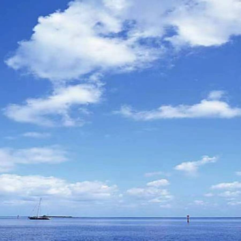 Liu